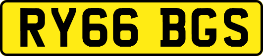 RY66BGS
