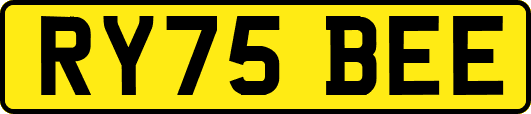 RY75BEE