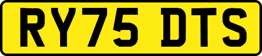 RY75DTS