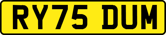 RY75DUM