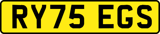RY75EGS