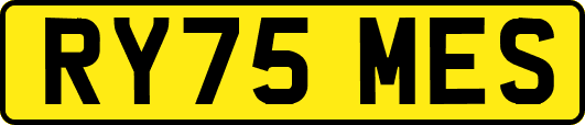 RY75MES