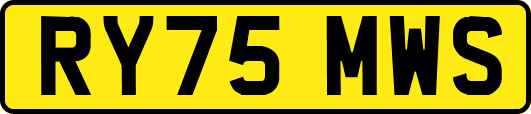 RY75MWS