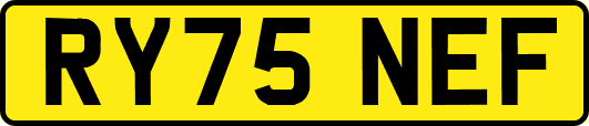 RY75NEF