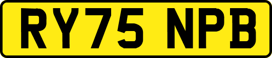RY75NPB