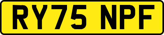 RY75NPF