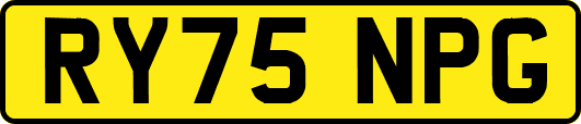 RY75NPG