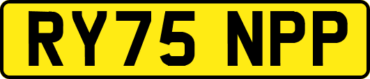 RY75NPP