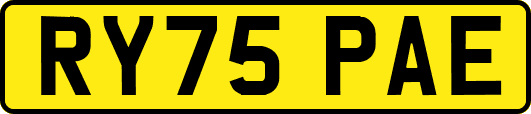 RY75PAE