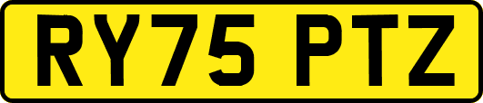 RY75PTZ