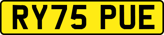 RY75PUE
