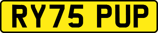 RY75PUP