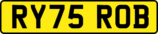 RY75ROB