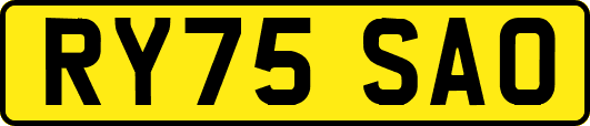 RY75SAO