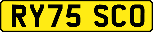 RY75SCO