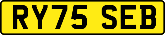 RY75SEB