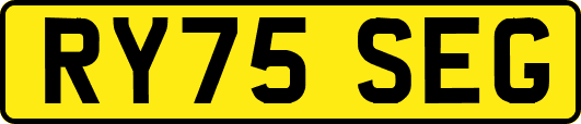 RY75SEG