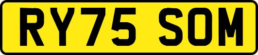 RY75SOM