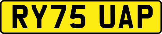 RY75UAP