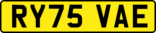 RY75VAE