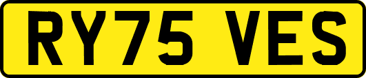 RY75VES