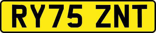 RY75ZNT