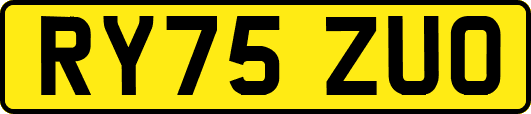 RY75ZUO