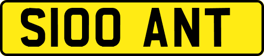 S100ANT
