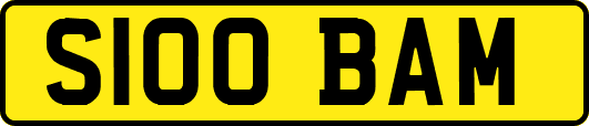 S100BAM
