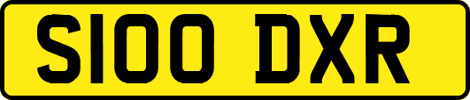 S100DXR