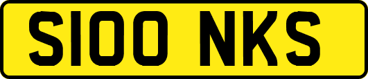 S100NKS