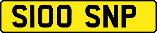 S100SNP