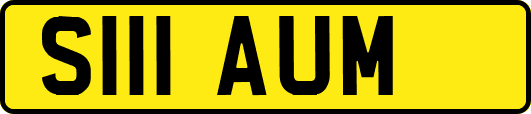 S111AUM