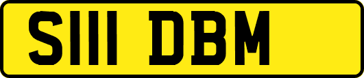 S111DBM