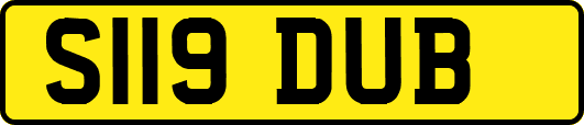 S119DUB