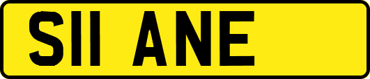 S11ANE