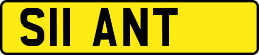 S11ANT