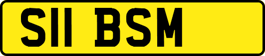 S11BSM