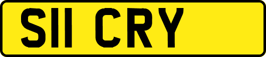 S11CRY