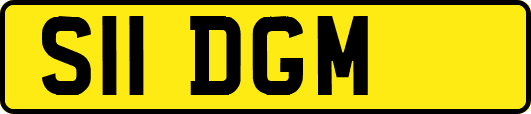 S11DGM