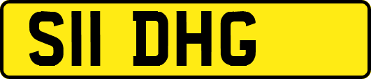 S11DHG