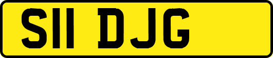 S11DJG