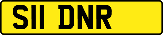 S11DNR