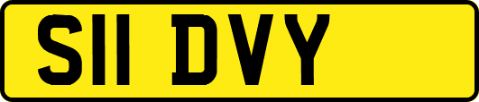 S11DVY