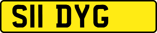 S11DYG