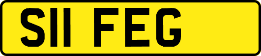 S11FEG