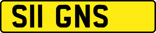 S11GNS