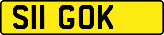 S11GOK