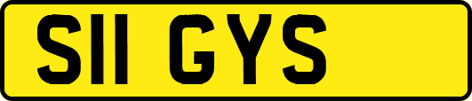 S11GYS