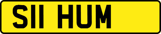S11HUM